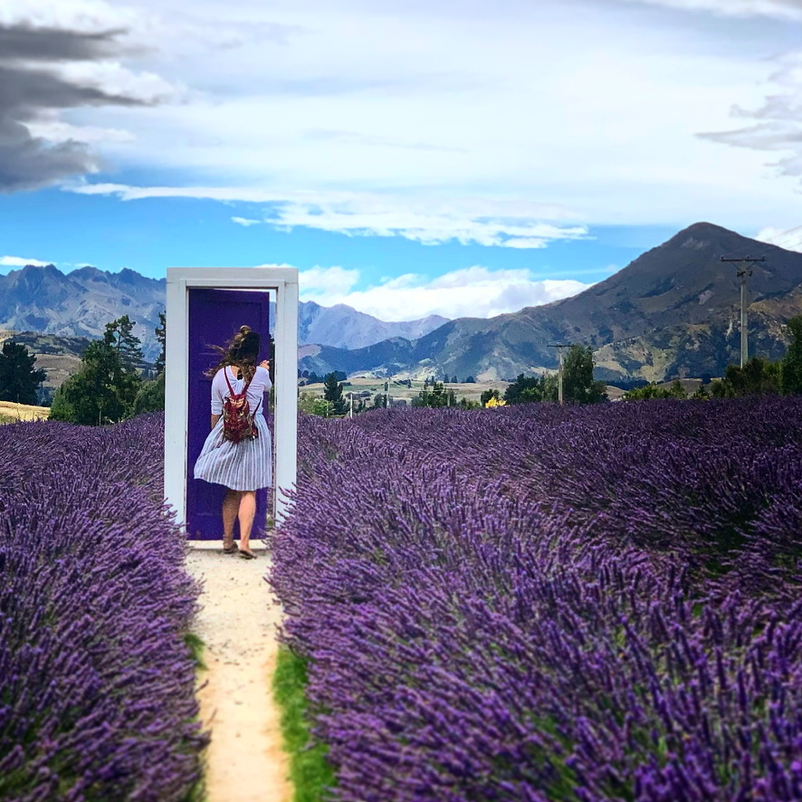 New Zealand Alpine Lavender Farm